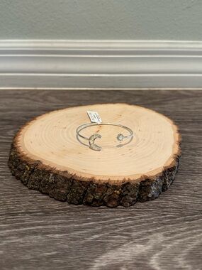 Alex and Ani Cyber Monday Moon and Sun Flex Silver Cuff NWT Care Card
